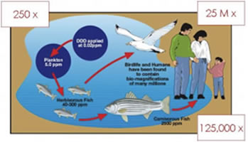 �����Z�k